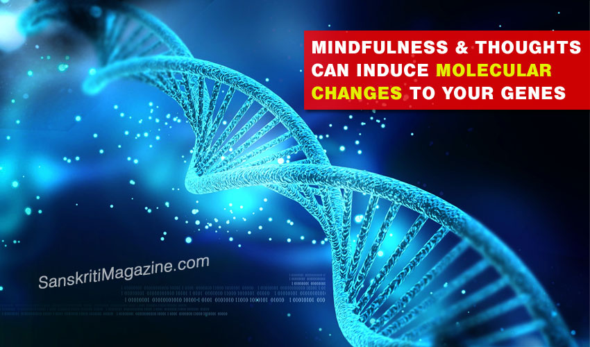 Mindfulness & thoughts can induce molecular changes to your genes