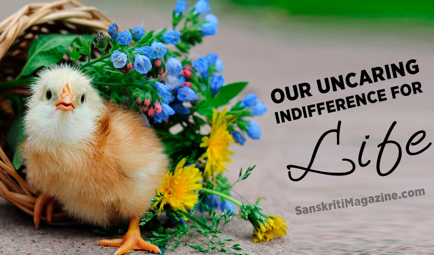 Our uncaring indifference for life
