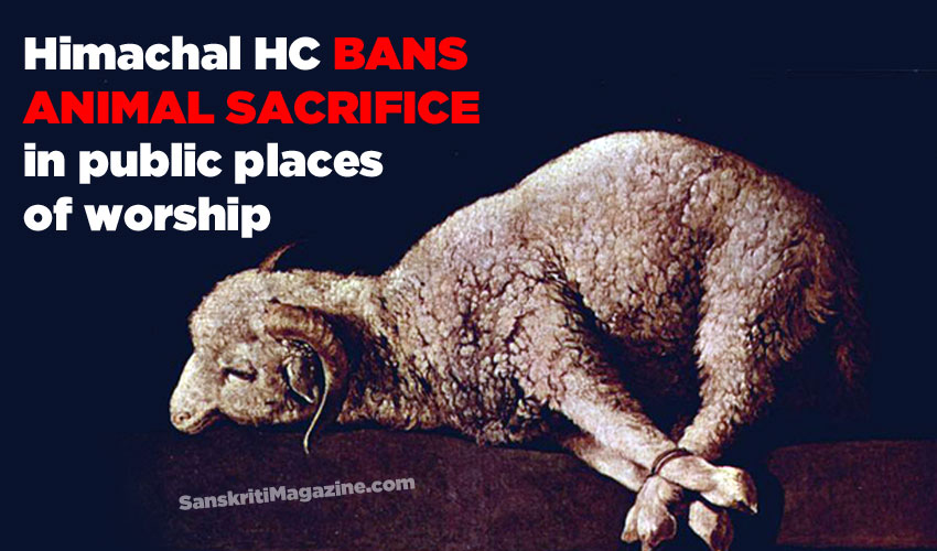 Himachal High Court Bans Religious Animal Sacrifice | Sanskriti - Hinduism and Indian Culture Website Himachal High Court Bans Religious Animal Sacrifice | Sanskriti - Hinduism and Indian Culture Website