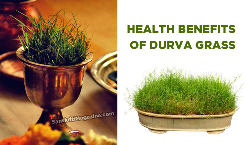 Health benefits of Durva grass