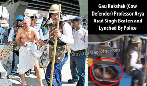 gau-raksha