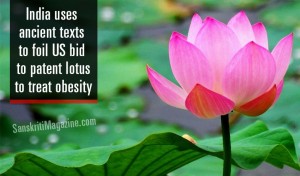 lotus-patent-usa