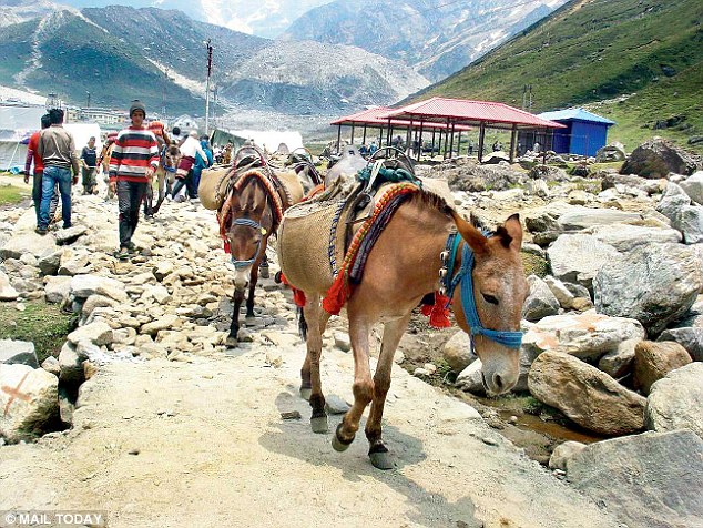 NGOs abandon flood-hit Uttarkhand