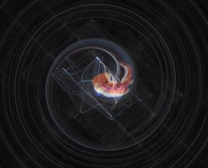 embryo