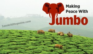 Making Peace With Jumbos