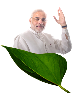 modi
