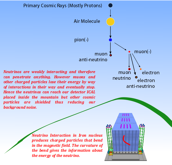 Neutrino Observatory