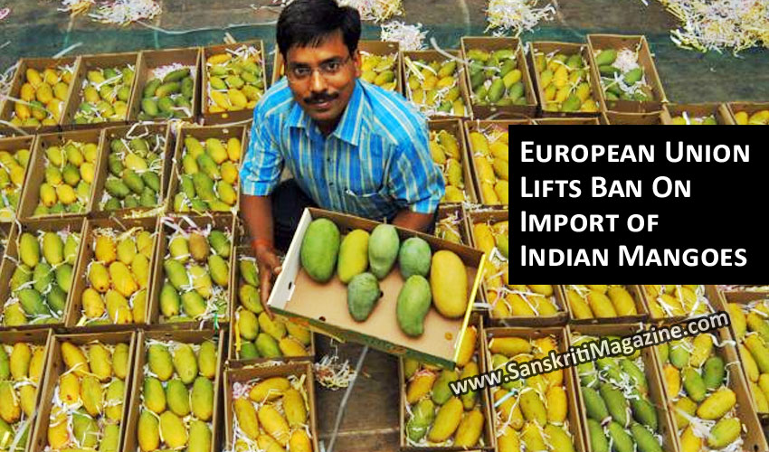 European Union Lifts Ban On Import of Indian Mangoes