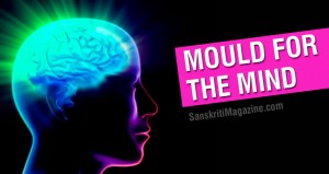 Mould for the Mind
