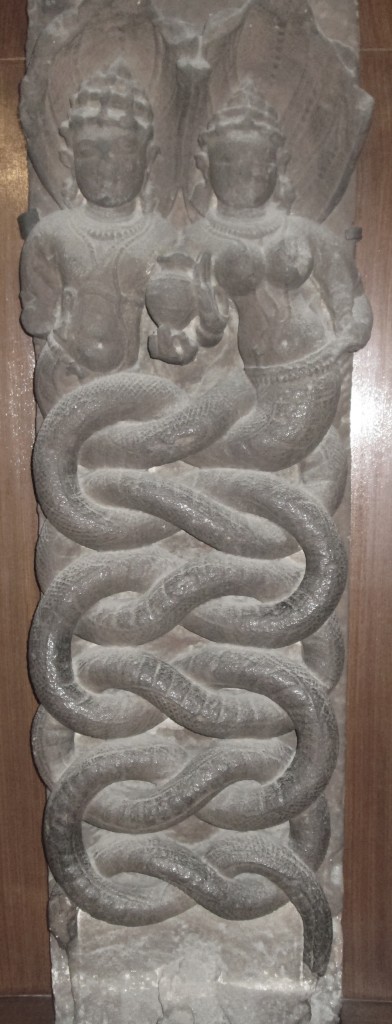 Naga and Nagini Gowanda