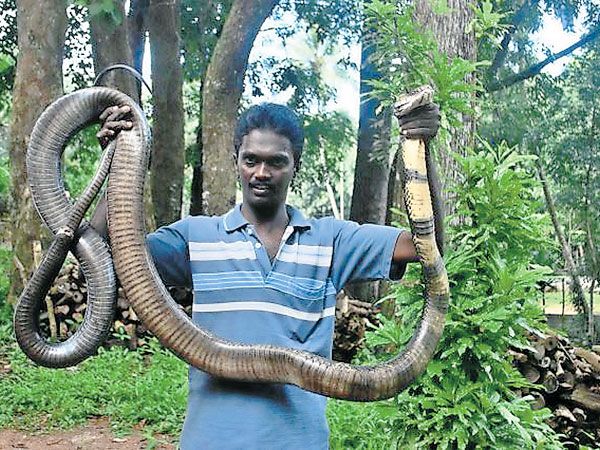 Snake Man of India
