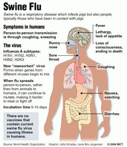 swine flu