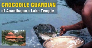 Crocodile guardian of Ananthapura Lake Temple