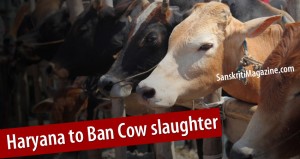 cow-ban-harayana