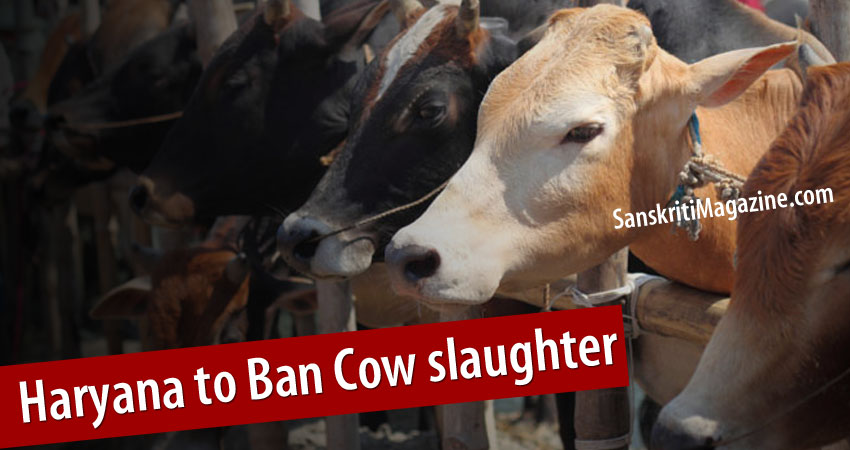 cow-ban-harayana
