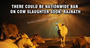 cow-slaughter-nation-wide-ban