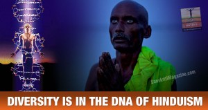 DIVERSITY IS IN THE DNA OF HINDUISM