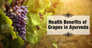 Health Benefits of Grapes in Ayurveda