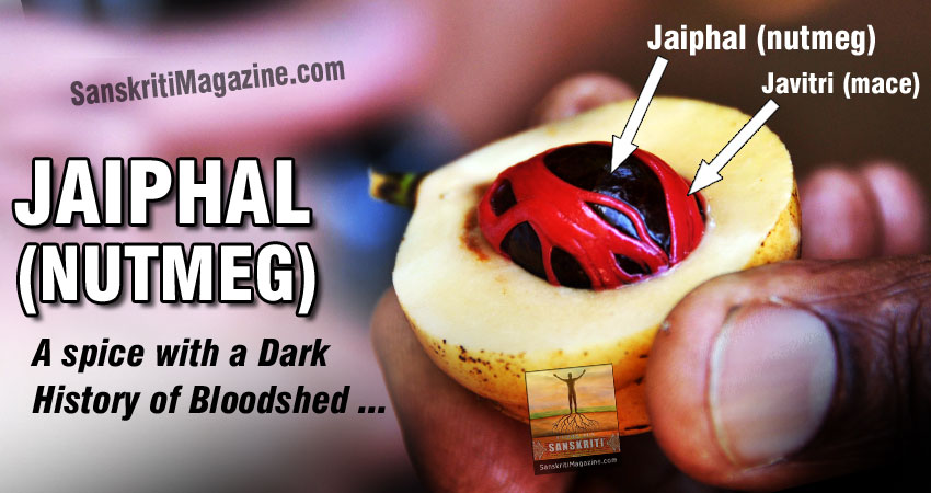 Jaiphal (Nutmeg): A spice with a dark history of bloodshed
