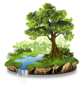 save trees