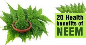 20 Health benefits of Neem