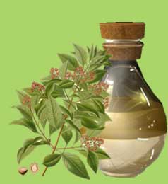 sandalwood oil