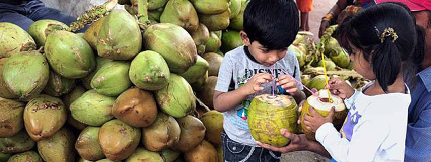 coconut water