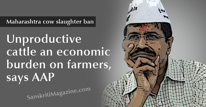 Maharashtra cow slaughter ban: Unproductive cattle an economic burden on farmers, says AAP