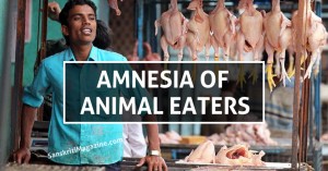 AMNESIA-OF-ANIMAL-EATERS