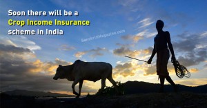 Soon-there-will-be-a-Crop-Income-Insurance-scheme-in-India