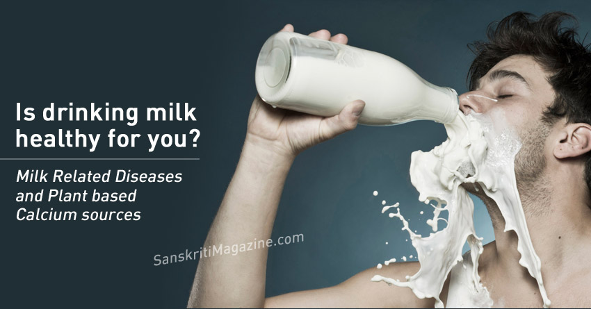 Is Drinking Milk Bad For You? 