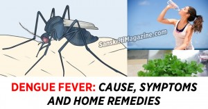 Dengue Fever: Cause, Symptoms and Home Remedies