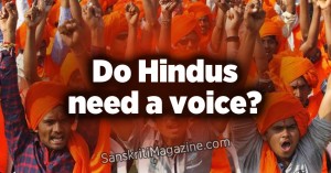 Do Hindus need a voice?