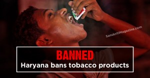 haryana gutka ban
