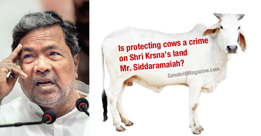 Is protecting cows a crime on shri Krsna’s land Mr.Siddaramaiah?