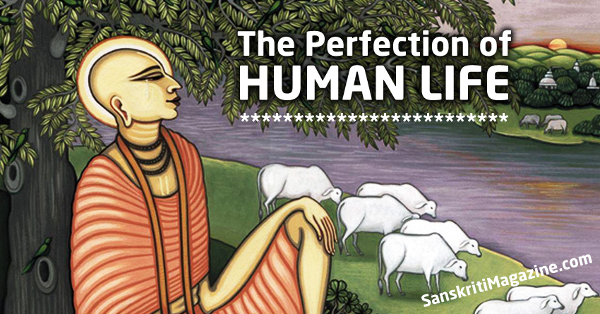 The Perfection of Human Life