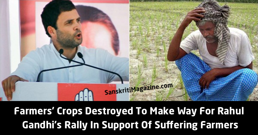 rahul gandhi farmer