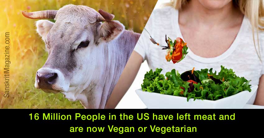16-Million-People-in-the-US-have-left-meat-and-are-now-Vegan-or-Vegetarian