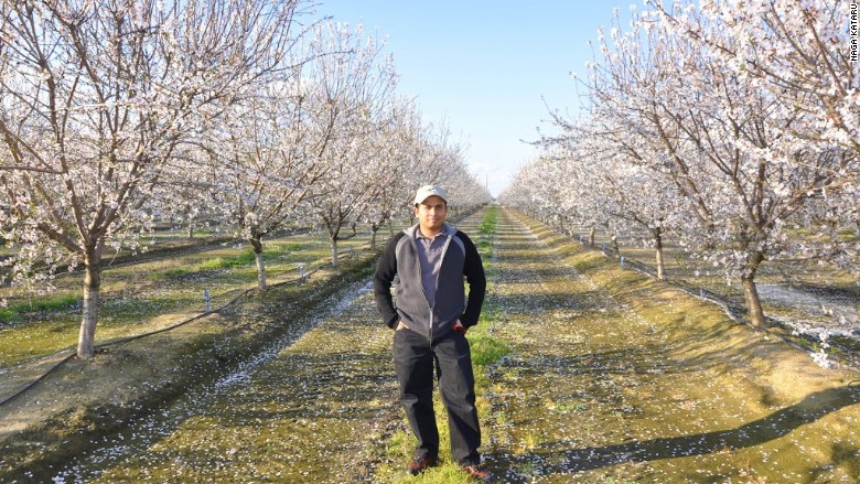 Naga Kataru on his farm in Modesto, California.