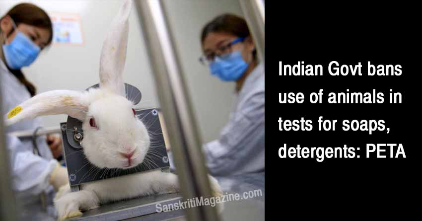 Indian-Govt-bans-use-of-animals-in-tests-for-soaps,-detergents