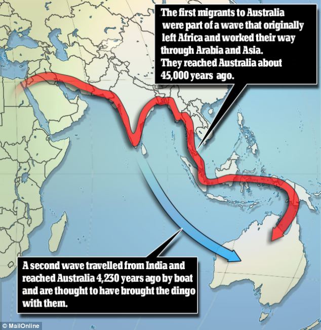 Migrants from India settled in Australia 4,000 years ago