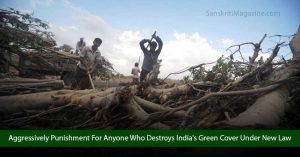 Aggressively-Punish-Anyone-Who-Destroys-India's-Green-Cover-With-New-Law