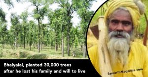 Bhaiyalal,-planted-30,000-trees-after-he-lost-his-family-and-will-to-live