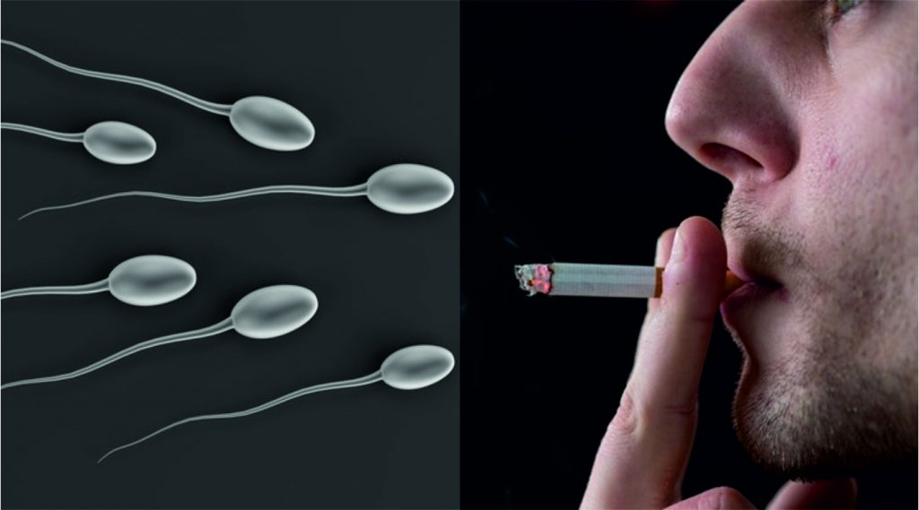 Stress, smoking, obesity render 15% of Delhi's males infertile
