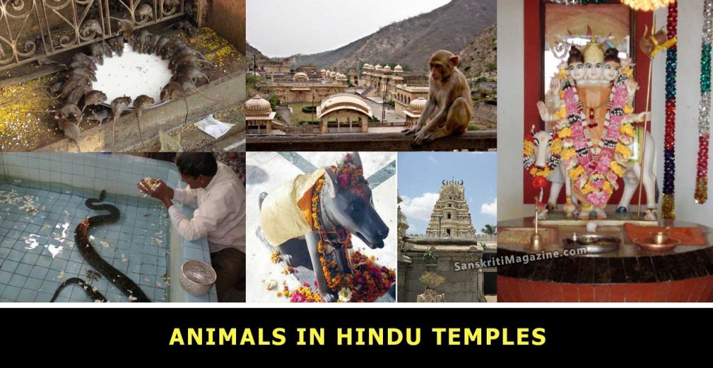 Animals-in-Hindu-Temples