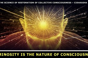 Luminosity is the nature of consciousness