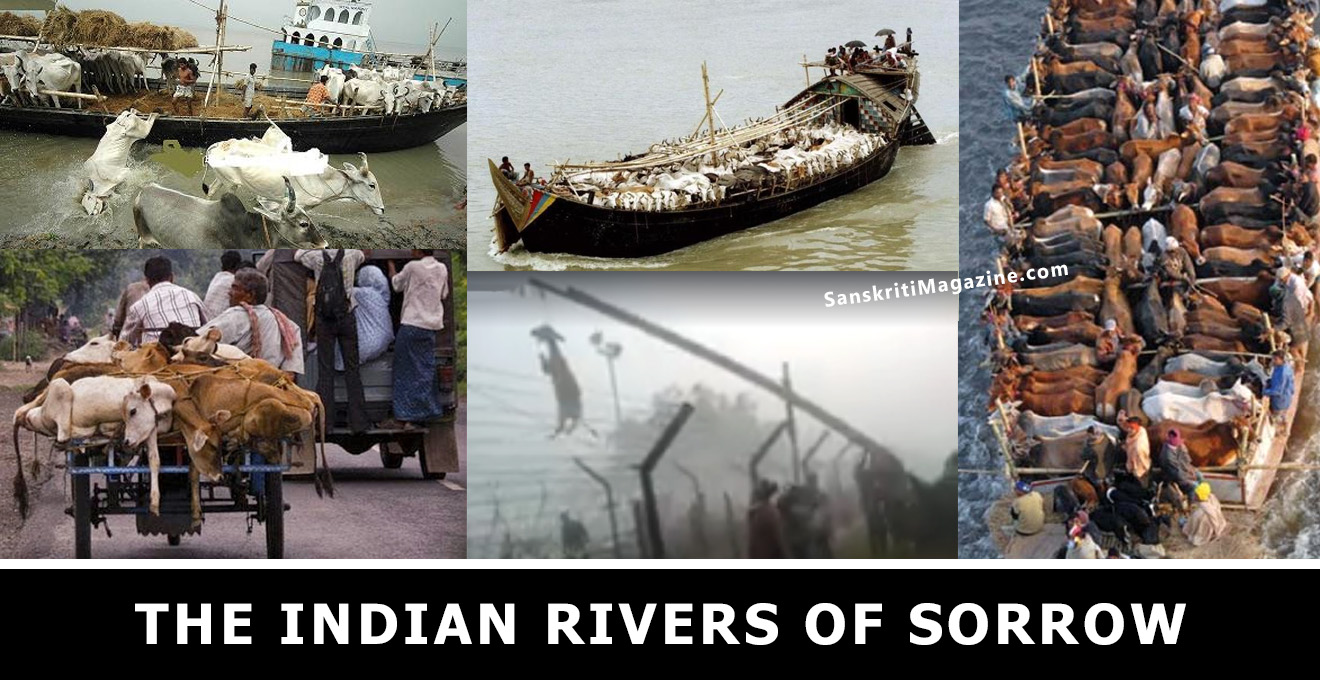 The Indian Rivers of Sorrow