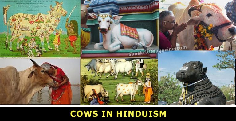 Cows in Hinduism