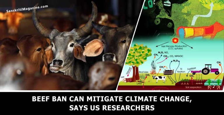 Beef-ban-can-mitigate-climate-change-US-researchers