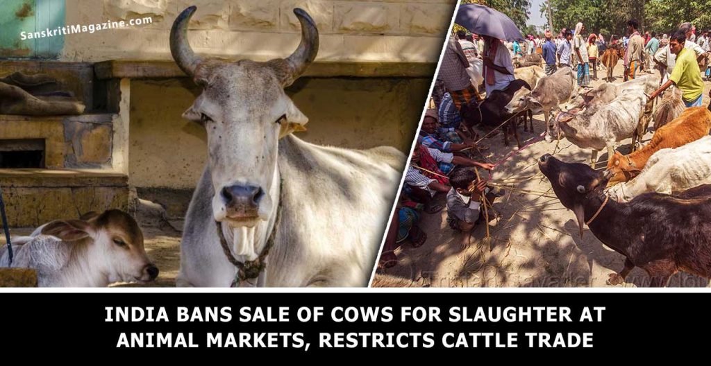 India-bans-sale-of-cows-for-slaughter-at-animal-markets,-restricts-cattle-trade